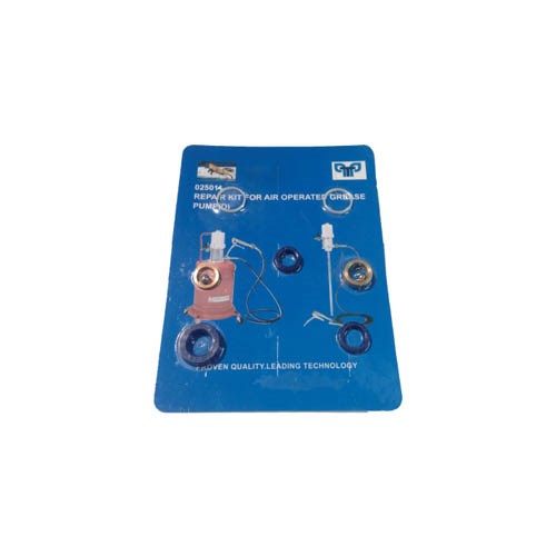 025011     REPAIR KIT FOR AIR OPERATED GREASE PUMP (D)
