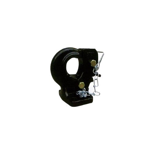 063121     PINTLE HOOK