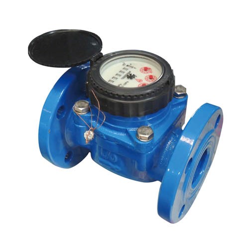REMOVABLE ELEMENT WALTMAN WATER METER (LXLC)