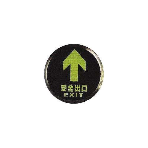 151551     GROUND BURIED EXIT SIGN