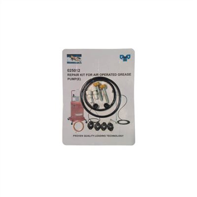 025012     REPAIR KIT FOR AIR OPERATED GREASE PUMP (E)