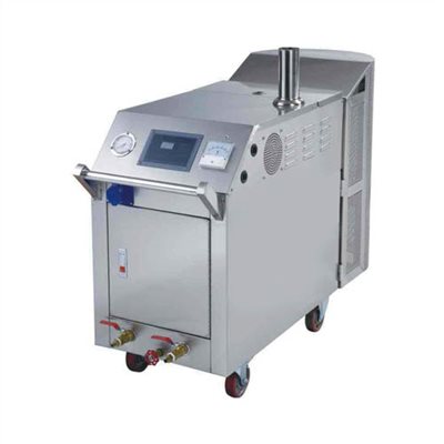 166429     LPG MOBILE CAR STEAM WASHER (2-Gun)