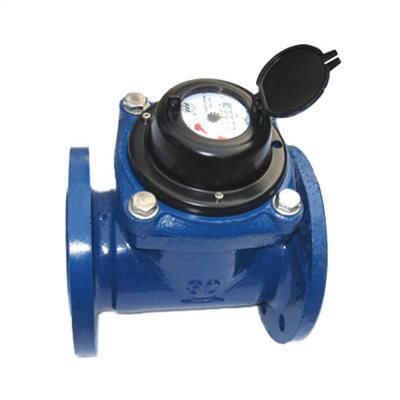 REMOVABLE ELEMENT WALTMAN WATER METER (LXLC)