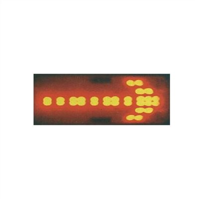142369     LED ROAD SIGN, BATTERY EXCLUDED